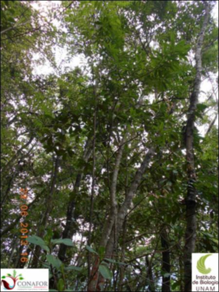 77365_S4_ARC_20130629_014_002.jpg.jpg