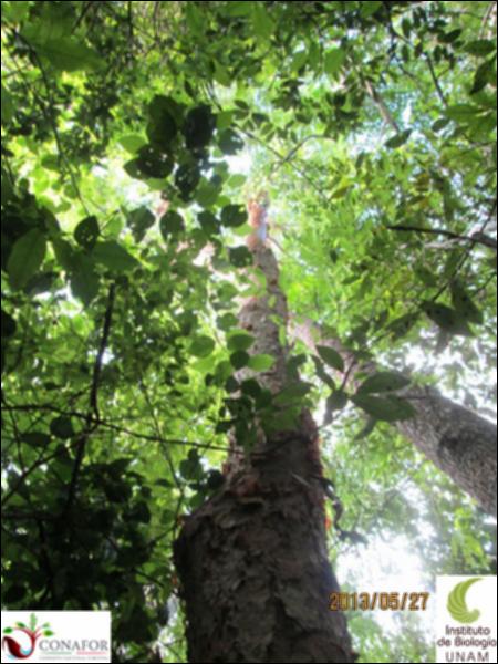59444_S1_ARC_20130527_010_001.jpg.jpg