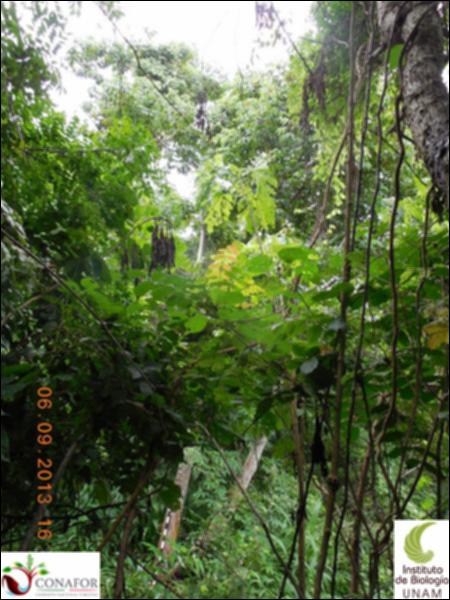 72834_S2_ARC_20130826_003_001.jpg.jpg