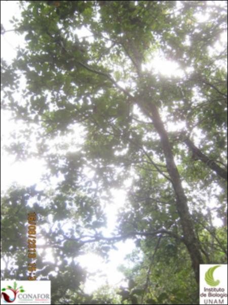 73916_S2_ARC_20130816_028_003.jpg.jpg