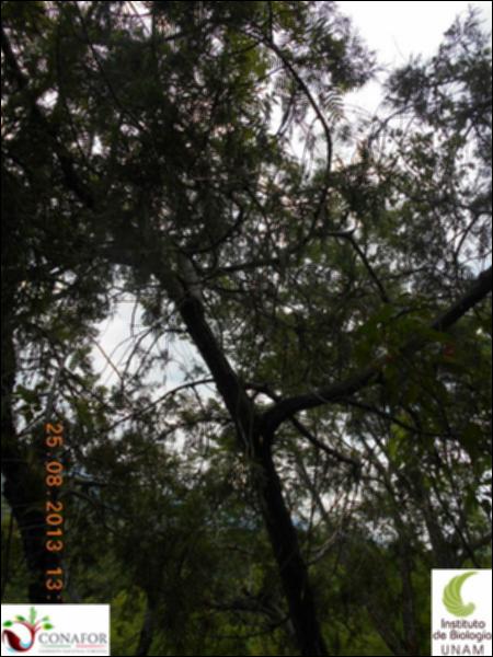 71375_S1_ARC_20130825_006_002.jpg.jpg