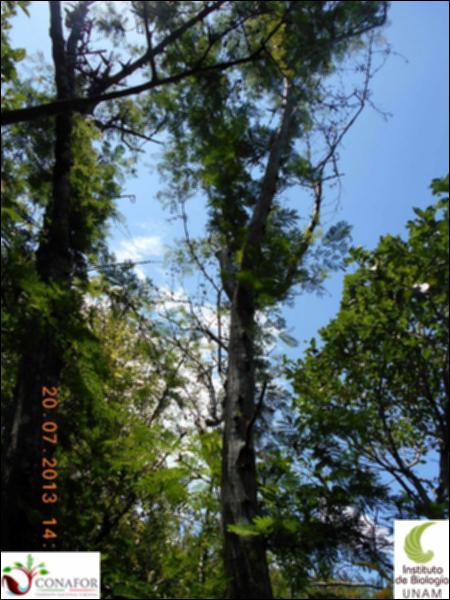 77163_S2_ARC_20130719_006_002.jpg.jpg