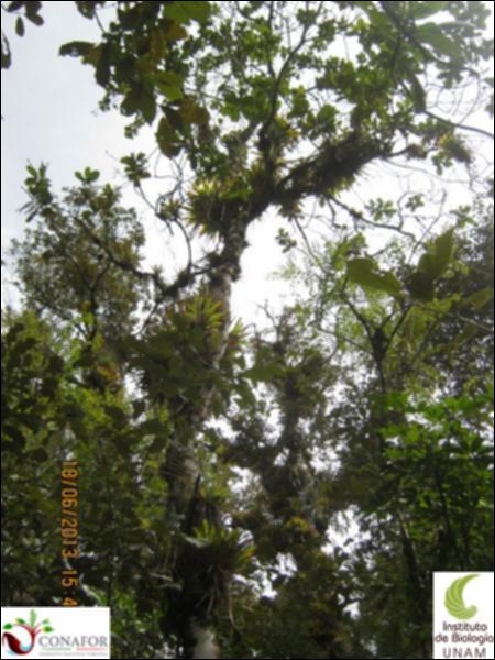 73133_S3_ARC_20130617_013_002.jpg.jpg