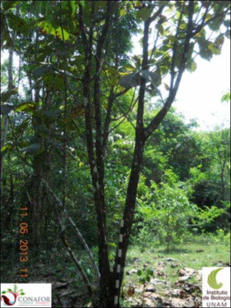 71892_S4_ARC_20130510_009_001.jpg.jpg