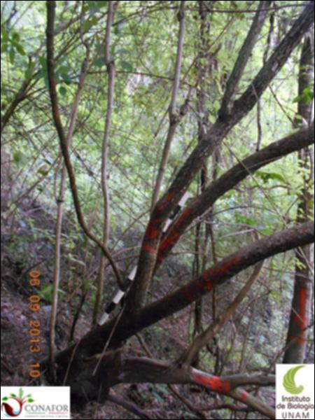 70884_S3_ARC_20130905_010_001.jpg.jpg