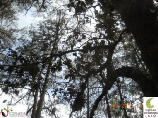 71636_S2_ARC_20130610_051_002.jpg.jpg