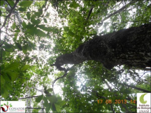 51199_S1_ARC_20130614_017_001.jpg.jpg