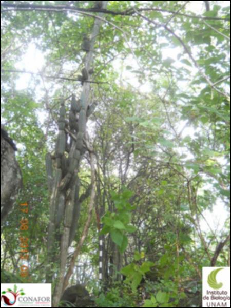 74298_S1_ARC_20130816_009_001.jpg.jpg