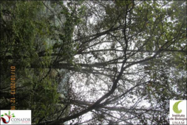 65500_S1_ARC_20131001_008_002.jpg.jpg