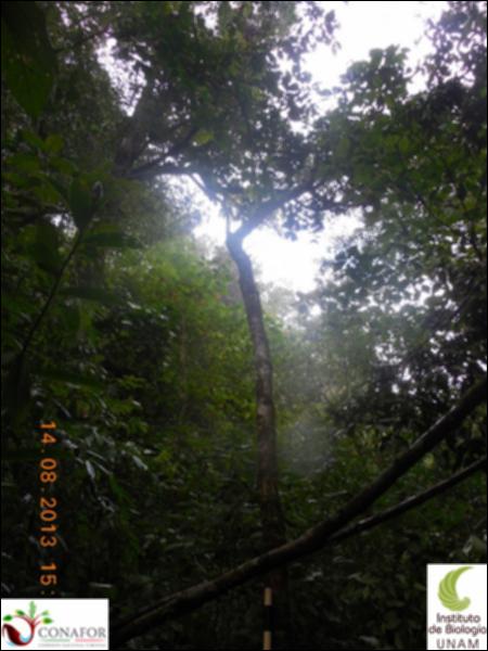 72879_S1_ARC_20130714_002_002.jpg.jpg