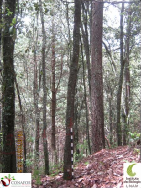74753_S1_ARC_20130718_009_001.jpg.jpg
