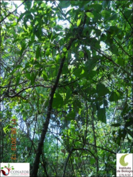 71892_S1_ARC_20130510_030_002.jpg.jpg