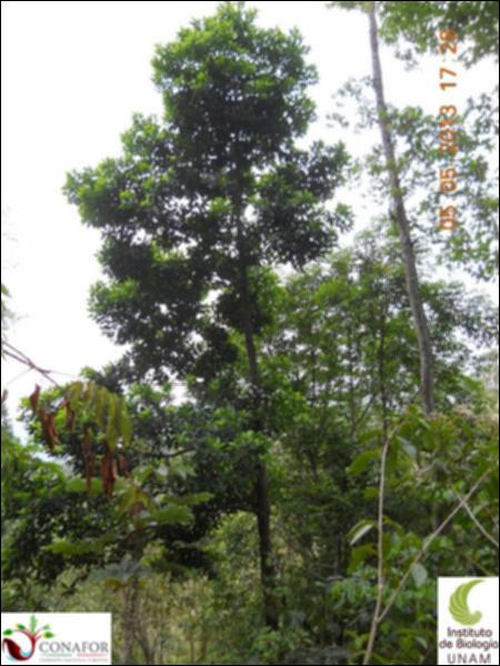 73568_S2_ARC_20130504_004_001.jpg.jpg