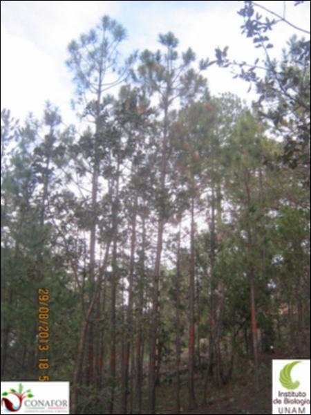 38426_S1_ARC_20130830_001.jpg.jpg