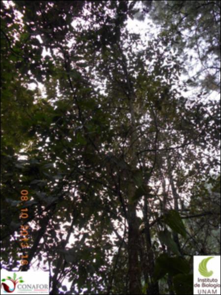 58618_S4_ARC_20131008_014_002.jpg.jpg