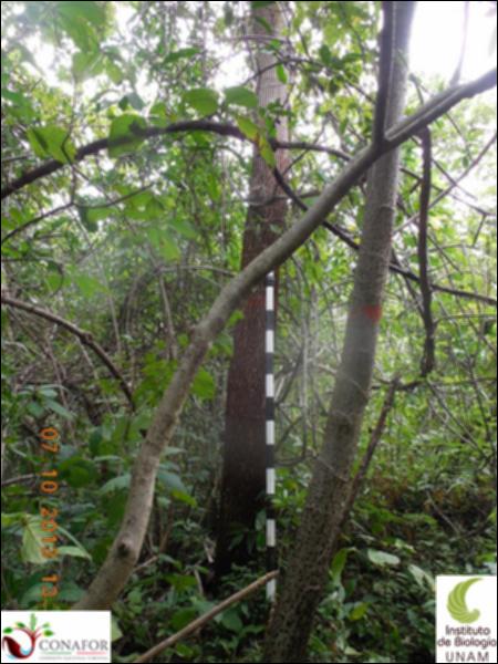 62837_S2_ARC_20131007_006_001.jpg.jpg