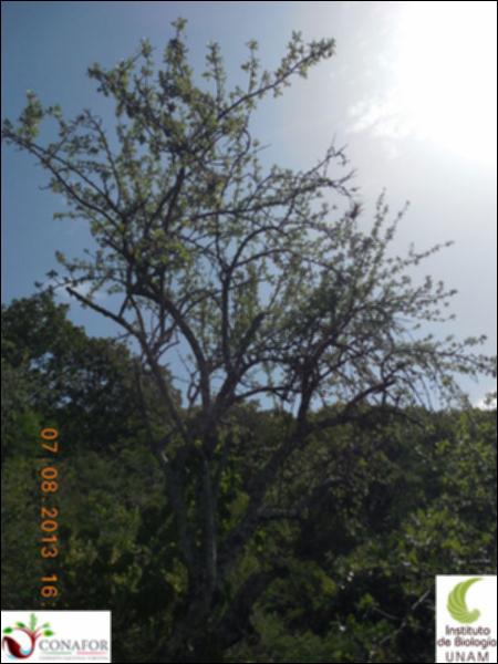 74555_S2_ARC_20130807_009_002.jpg.jpg