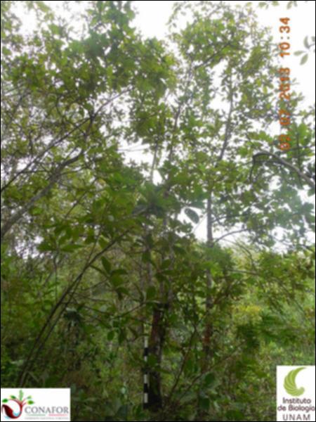 77168_S1_ARC_20130702_004_001.jpg.jpg