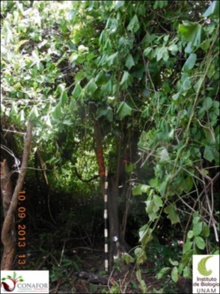 73038_S3_ARC_20130909_020_001.jpg.jpg