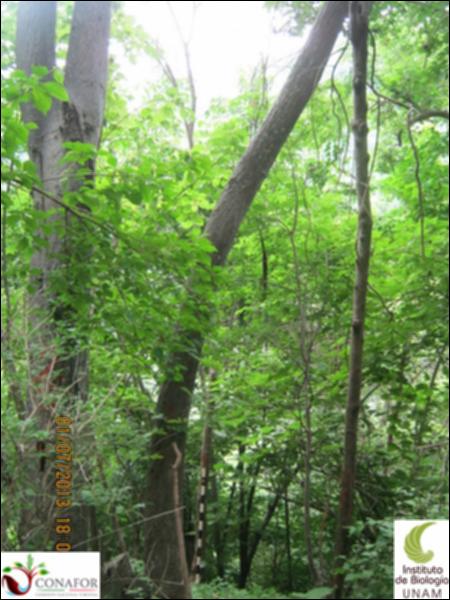 77515_S1_ARC_20130630_022_001.jpg.jpg