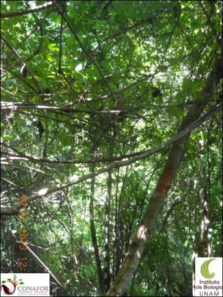 76066_S1_ARC_20130718_019_001.jpg.jpg