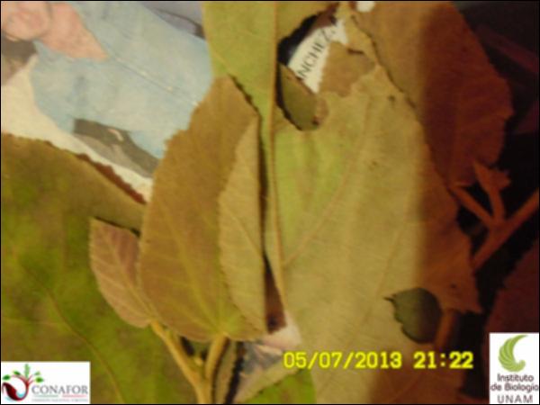 62572_S2_HJ1_20130705_010.jpg.jpg