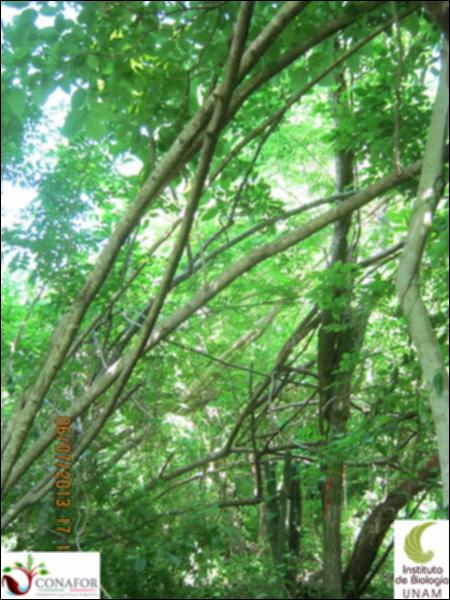 77662_S3_ARC_20130705_025_001.jpg.jpg