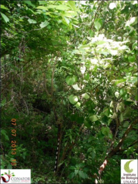 75134_S1_ARC_20130706_032_001.jpg.jpg