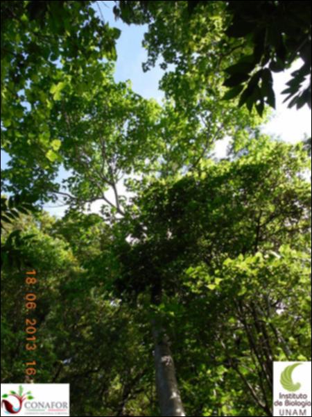 76600_S2_ARC_20130618_013_003.jpg.jpg