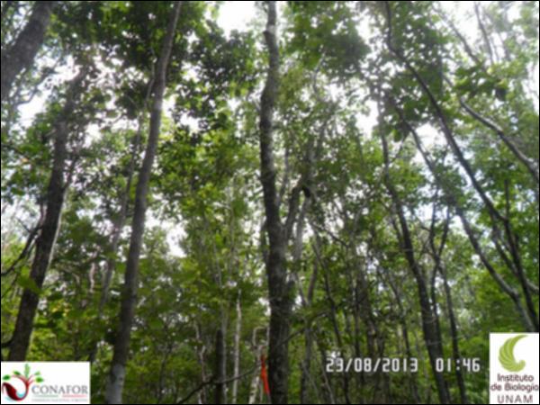 58649_S1_ARC_20130823_009_001.jpg.jpg