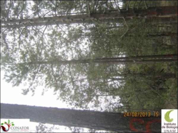 37138_S1_ARC_20130825_007.jpg.jpg