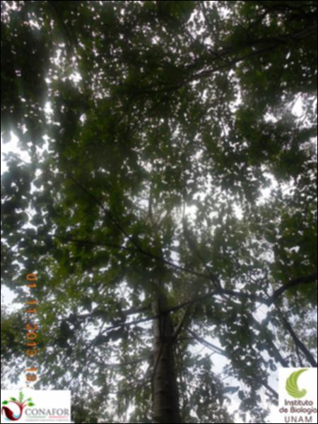 68540_S1_ARC_20131101_008_002.jpg.jpg