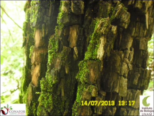 58265_S2_CRT_20130714_001.jpg.jpg