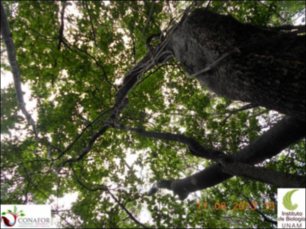 51199_S4_ARC_20130614_059_001.jpg.jpg