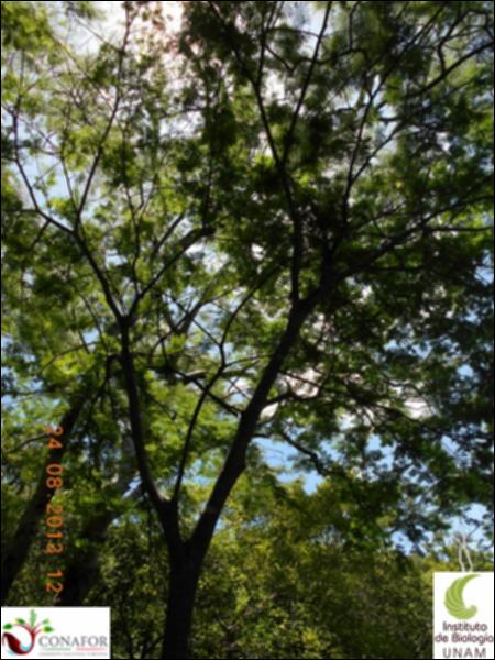 71380_S4_ARC_20130824_002_002.jpg.jpg