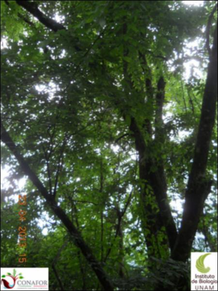 61651_S1_ARC_20130428_015_002.jpg.jpg