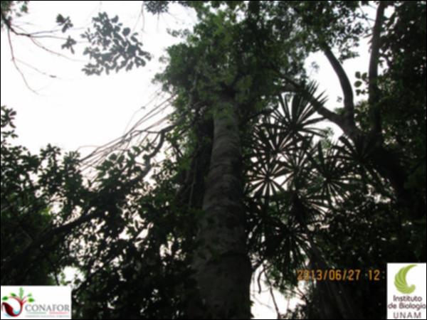 64830_S1_ARC_20130627_027_001.jpg.jpg