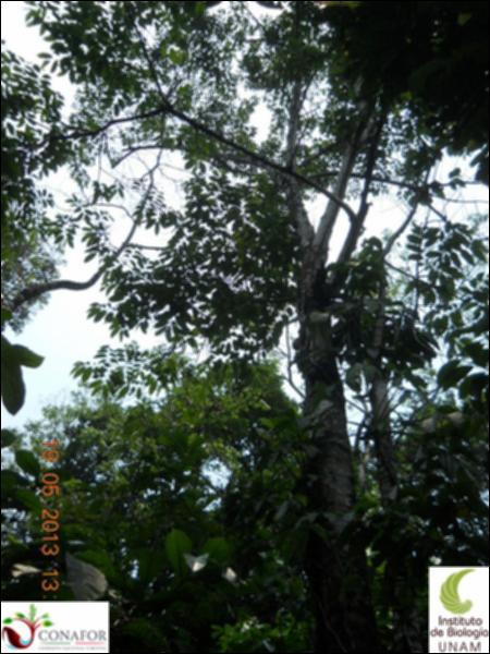 65560_S1_ARC_20130519_003_002.jpg.jpg