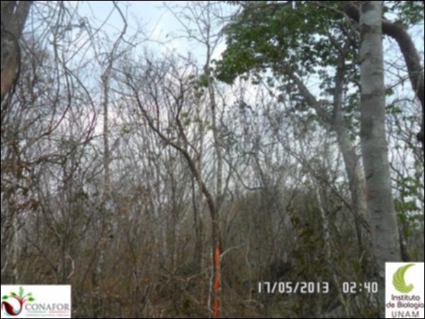 74630_S3_ARC_20130517_008_001.jpg.jpg