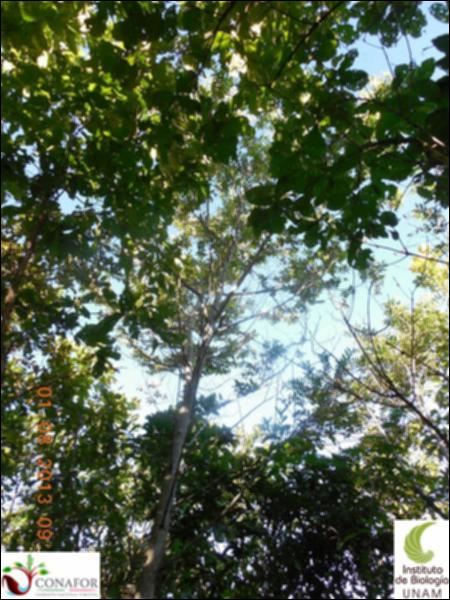 76409_S3_ARC_20130731_011_002.jpg.jpg