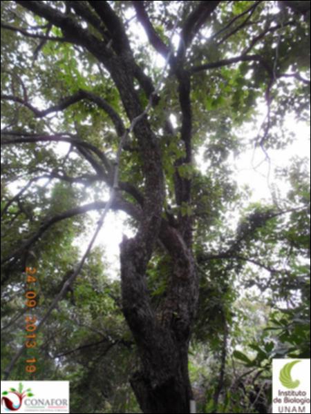 66090_S4_ARC_20130924_001_002.jpg.jpg