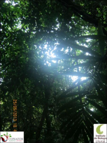 69391_S2_ARC_20130505_017_002.jpg.jpg
