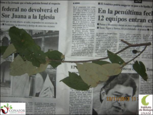 43275_S4_HJ1_20131113_001.jpg.jpg