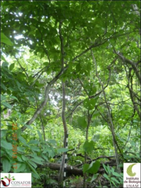 76824_S2_ARC_20130723_012_001.jpg.jpg