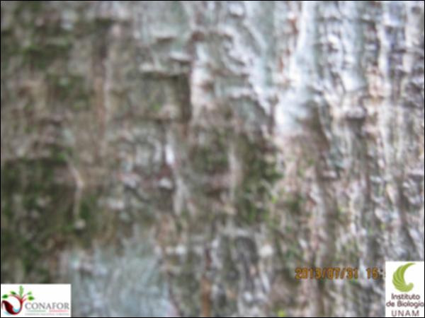 47192_S2_CRT_20130731_007.jpg.jpg