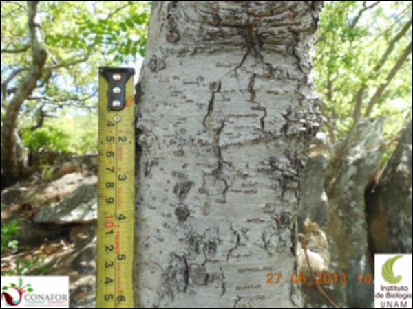 75926_S1_CRT_20130626_007_001.jpg.jpg