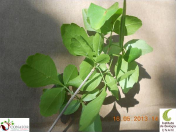 50947_S4_HJ2_20130516_020_001.jpg.jpg