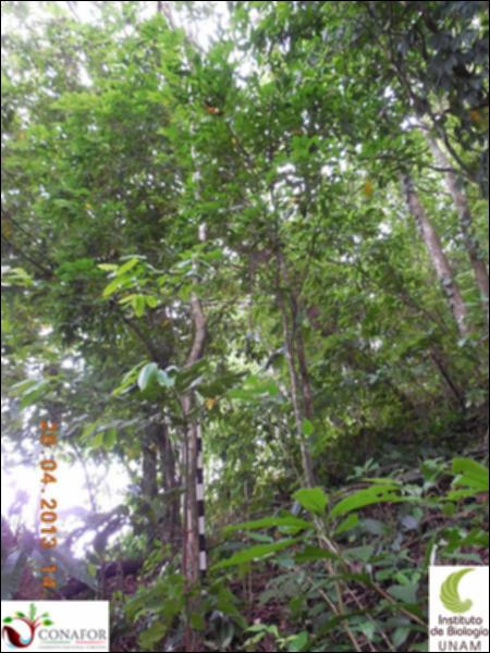 65025_S4_ARC_20130428_015_001.jpg.jpg