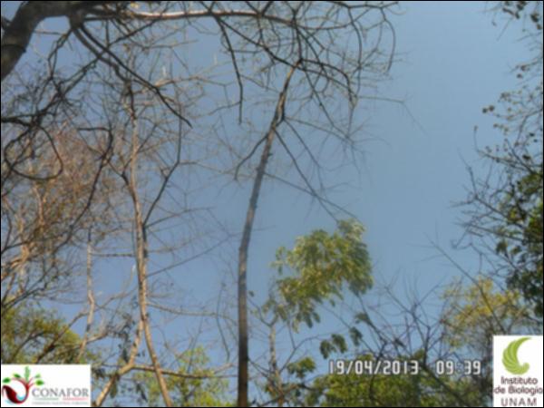 74016_S1_ARC_20130419_005_001.jpg.jpg