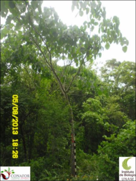 57697_S4_ARC_20130805_002.jpg.jpg